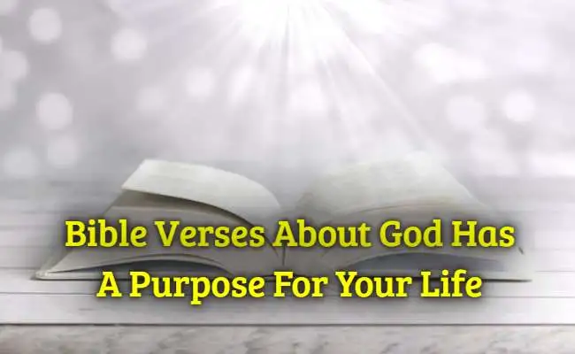Bible Verses About God Has A Purpose For Your Life