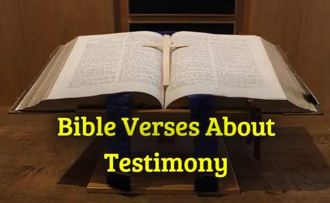 Bible Verses About Testimony