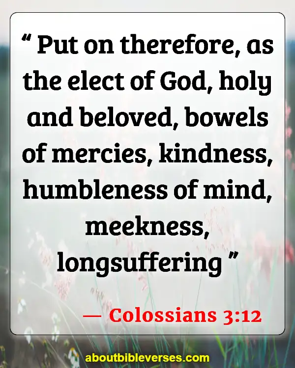 Bible Verses About Caring For Others (Colossians 3:12)
