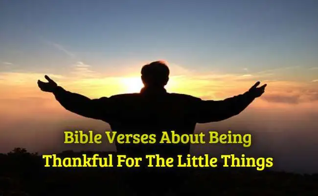 Bible Verses About Being Thankful For the Little Things