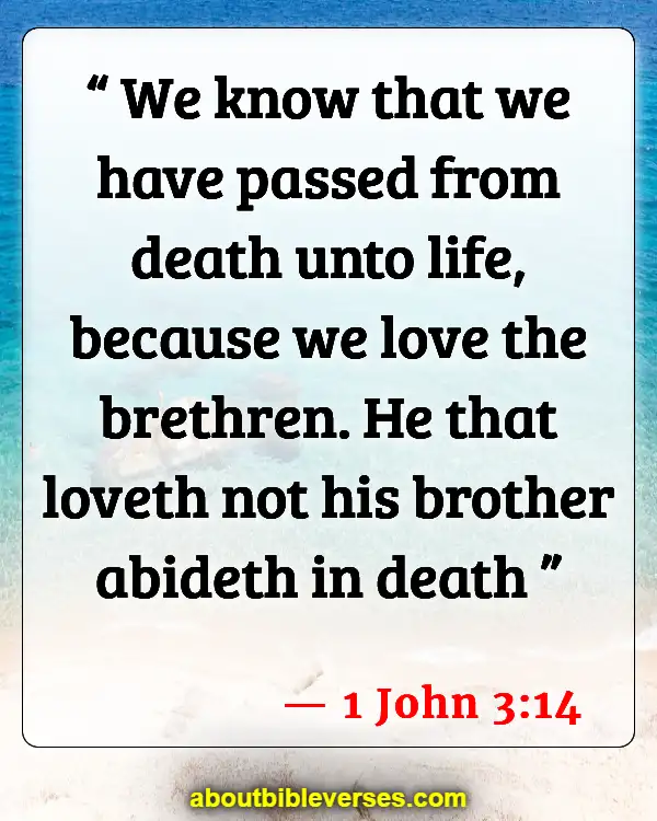 Bible Verses About Fellowship With Other Believers (1 John 3:14)