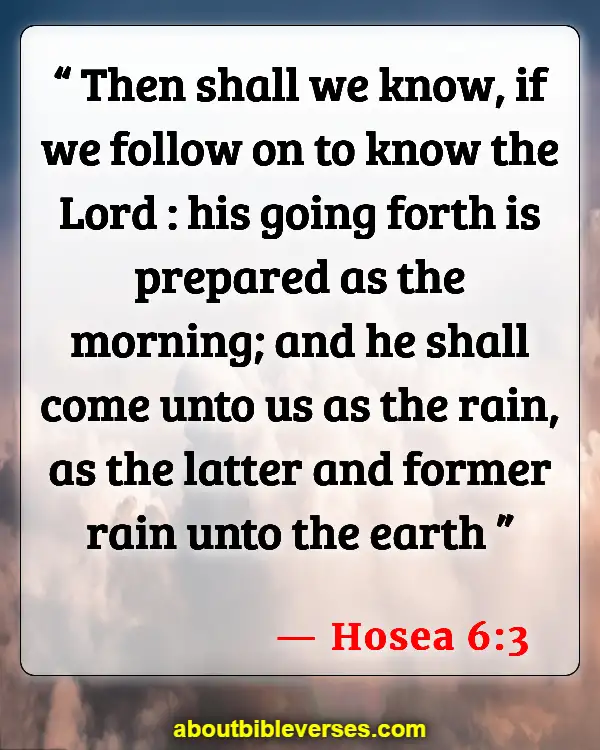 Bible Verses About Knowing God (Hosea 6:3)