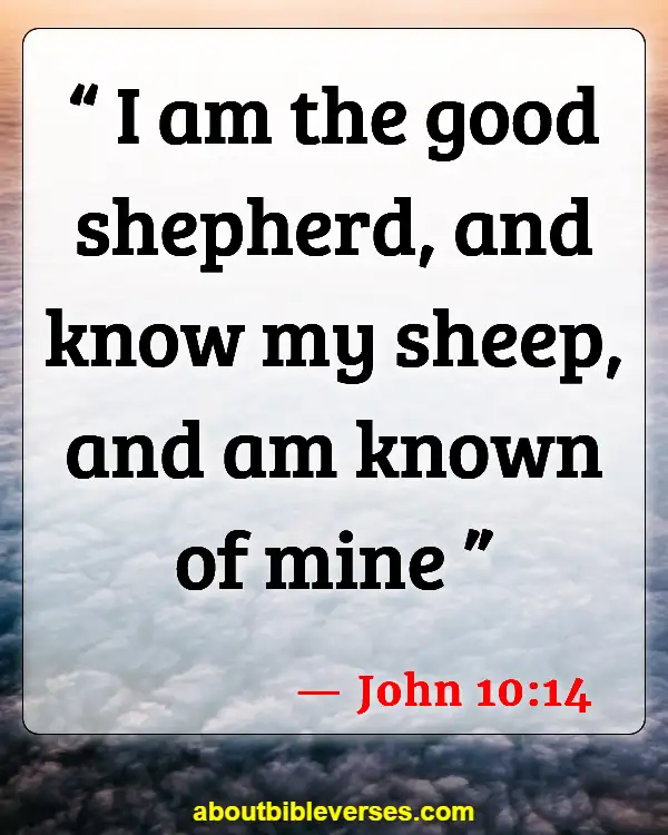 Bible Verses About Knowing God (John 10:14)