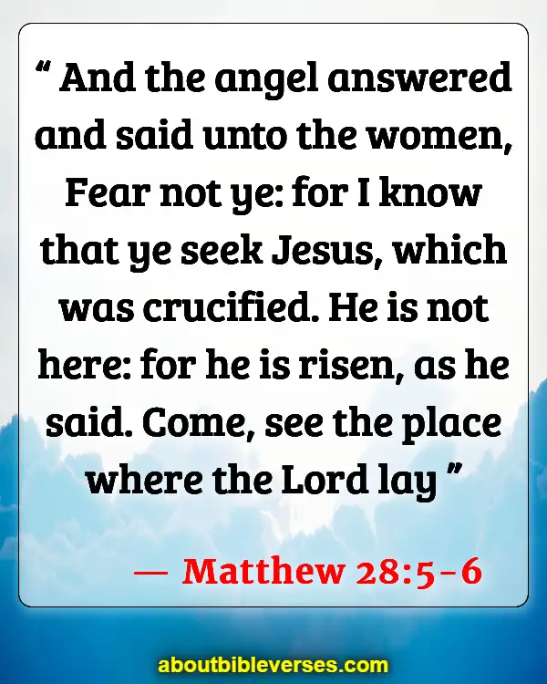 Today Bible Verse (Matthew 28:5-6)