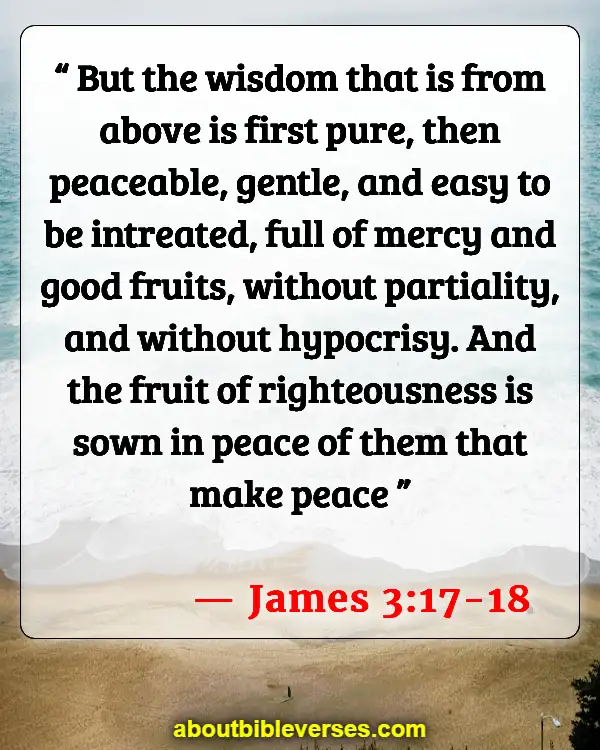 Bible Verses On Blessed Are The Peacemakers (James 3:17-18)
