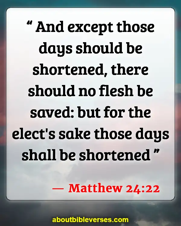 Bible Verses About Abomination Of Desolation (Matthew 24:22)