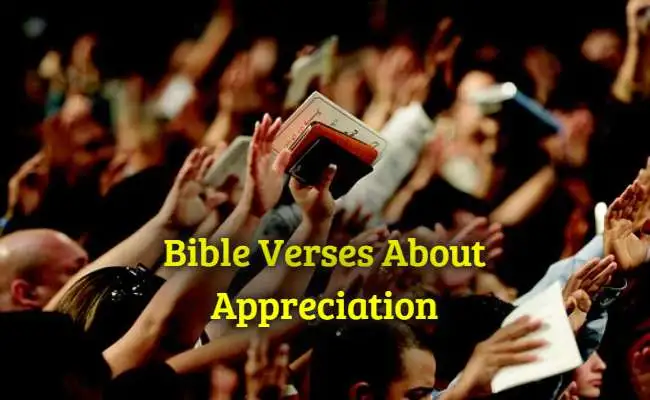 Bible Verses About Appreciation