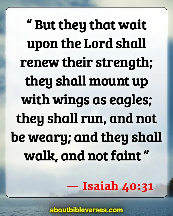 Bible Verses About Working Hard And Not Giving Up (Isaiah 40:31)