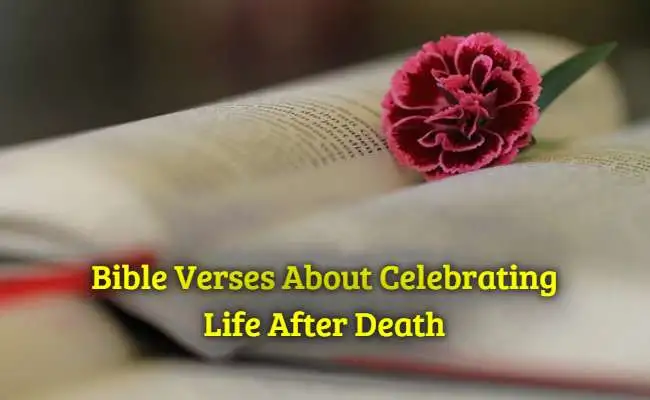 Bible Verses About Celebrating Life After Death