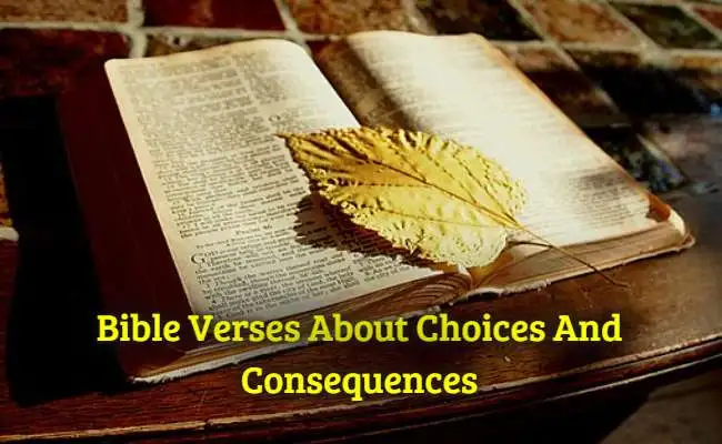 Bible Verses About Choices And Consequences