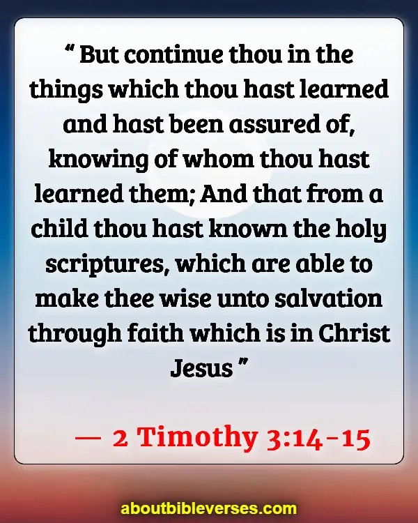 Bible Verses About Concern For The Family And Future Generations (2 Timothy 3:14-15)