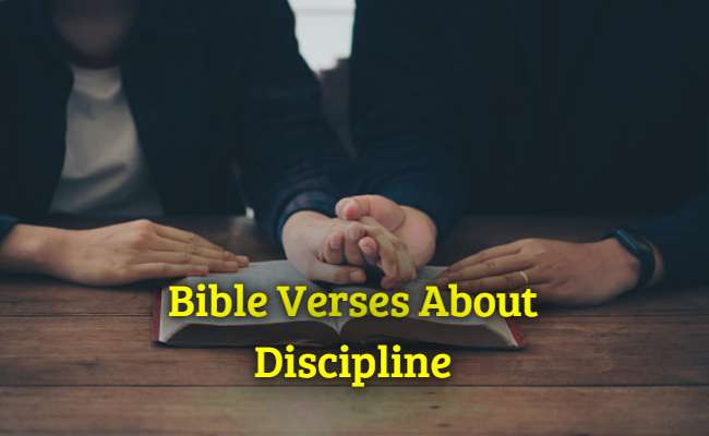 Bible Verses About Discipline