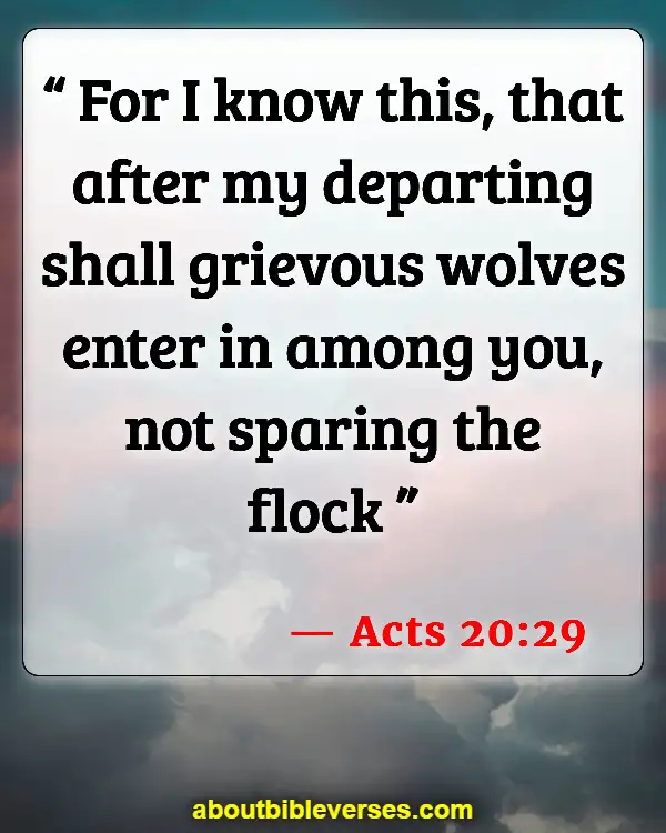 Bible Verses About False Teachers (Acts 20:29)
