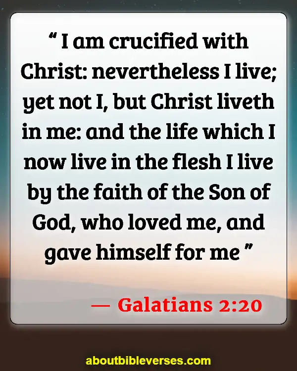 Bible Verses For Do Not Compare Yourself To Others (Galatians 2:20)