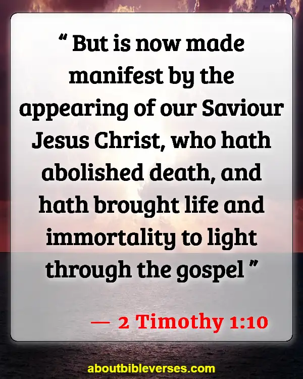 Bible Verses About Growing Spiritually (2 Timothy 1:10)