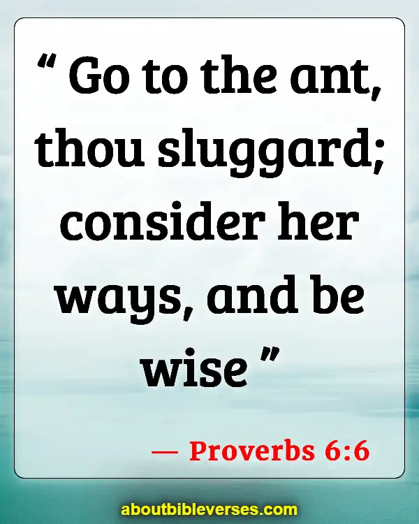 Bible Verses About Idleness (Proverbs 6:6)