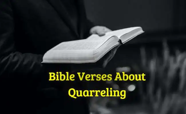 Bible Verses About Quarreling