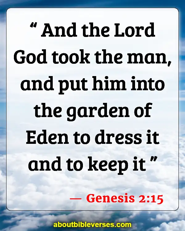 Bible Verses About Taking Care Of The Environment (Genesis 2:15)