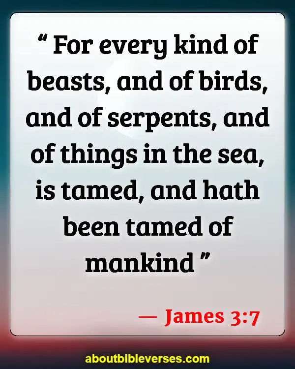 Bible Verses About Taking Care Of The Environment (James 3:7)