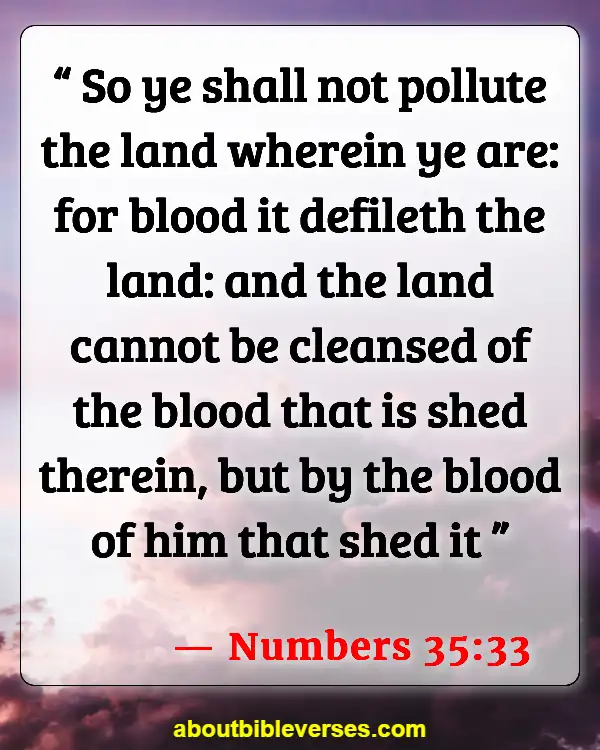 Bible Verses About Taking Care Of The Environment (Numbers 35:33)