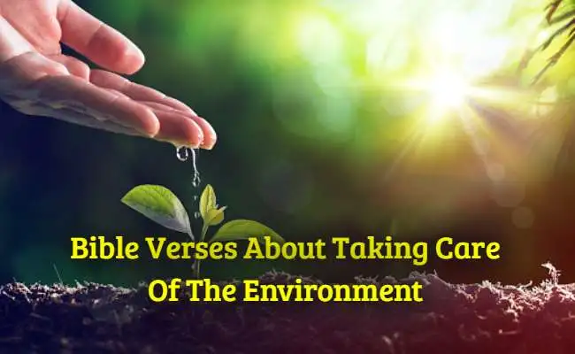 Bible Verses About Taking Care Of The Environment