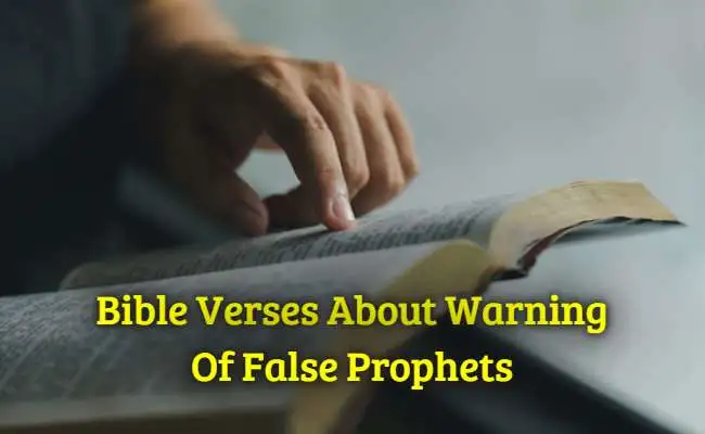 Bible Verses About Warning Of False Prophets