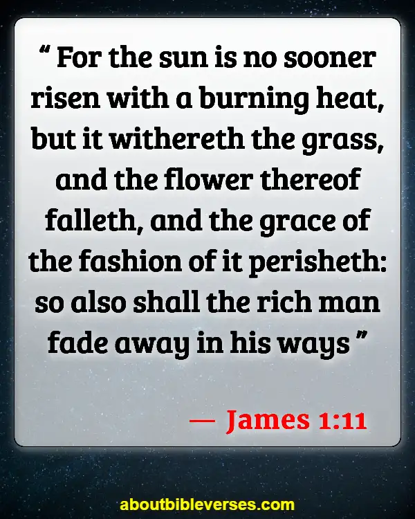 Bible Verses About Warning To The Rich (James 1:11)
