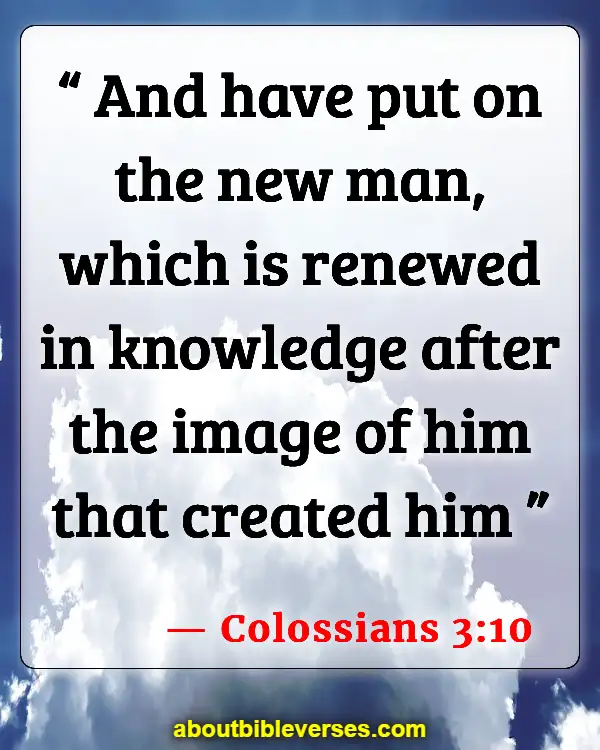 Bible Verses About Renewing Your Mind (Colossians 3:10)