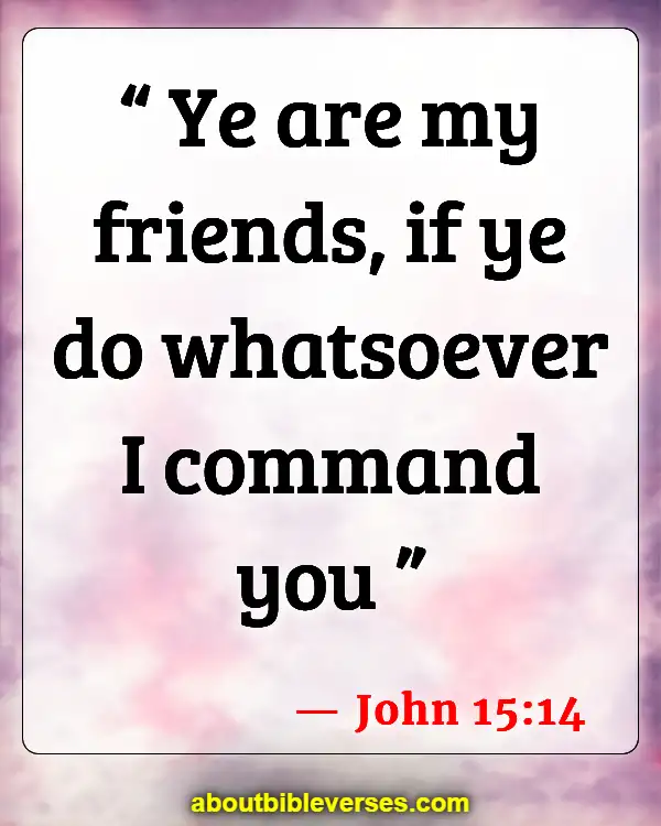 Bible Verses To Say Thank You To A Friend (John 15:14)