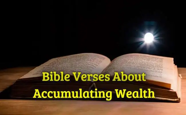 Bible Verses About Accumulating Wealth