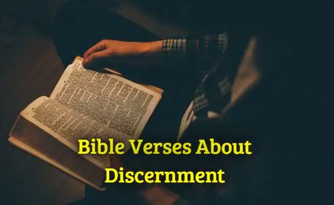 Bible Verses About Discernment