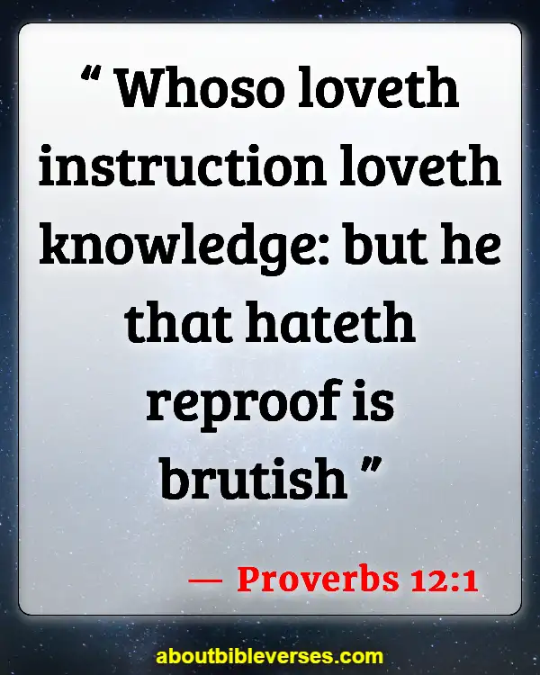 Bible Verses About Too Much Knowledge (Proverbs 12:1)
