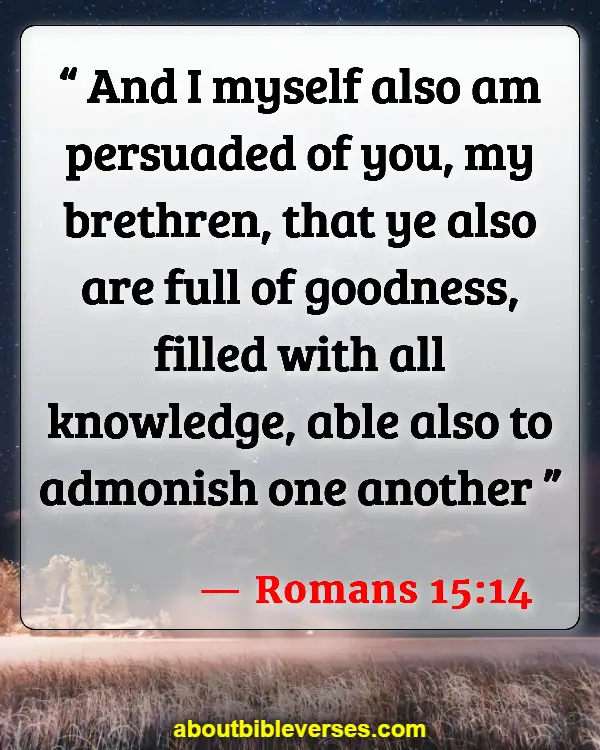 Bible Verses About Too Much Knowledge (Romans 15:14)