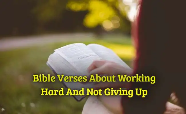 Bible Verses About Working Hard And Not Giving Up