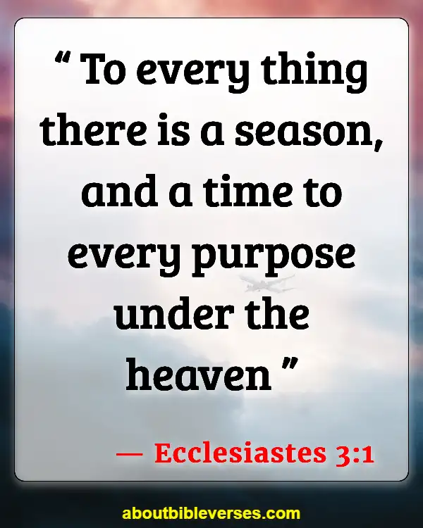 Bible Verses For Faith In Hard Times (Ecclesiastes 3:1)