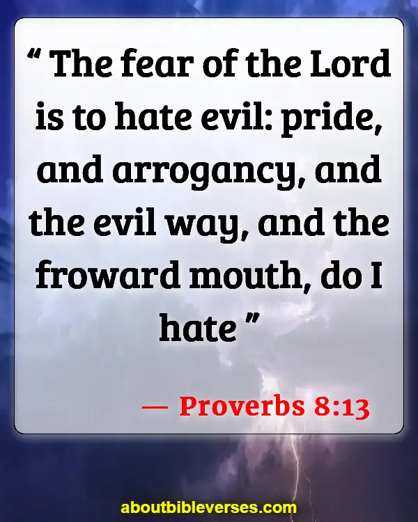 Bible Verses For Hate The Sin Love The Sinner (Proverbs 8:13)