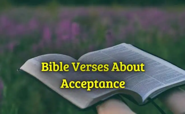 [Best] 37+Bible Verses About Acceptance – KJV Scripture