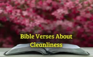 Bible Verses About Cleanliness