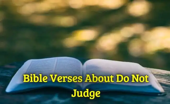 Bible Verses About Do Not Judge
