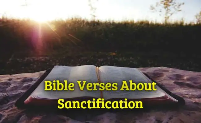Bible Verses About Sanctification