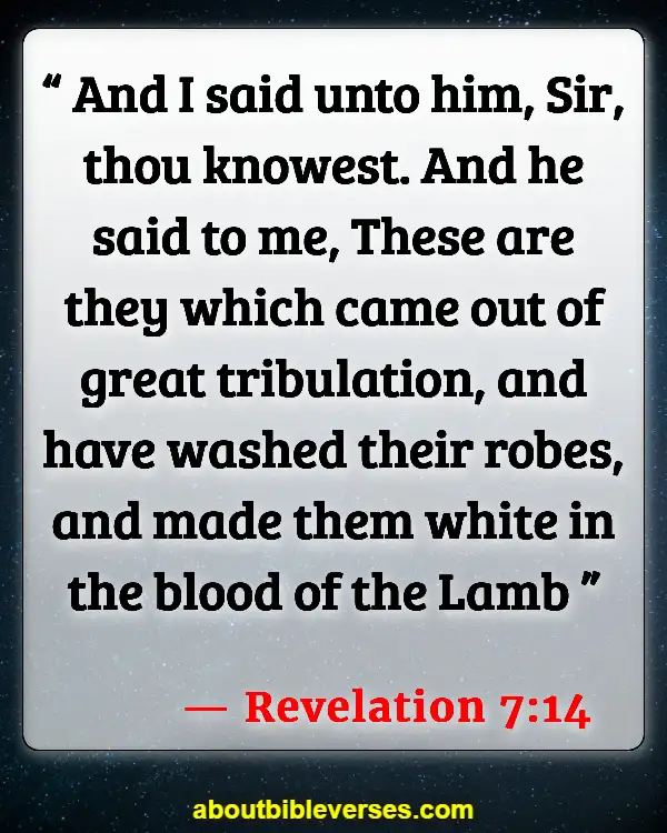 Bible Verses About The Rapture (Revelation 7:14)