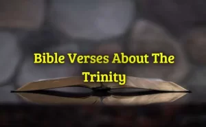 Bible Verses About The Trinity
