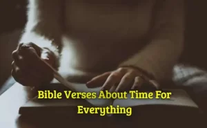 Bible Verses About Time For Everything