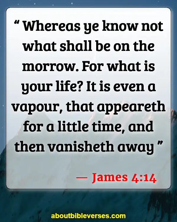 Bible Verses About Time For Everything (James 4:14)