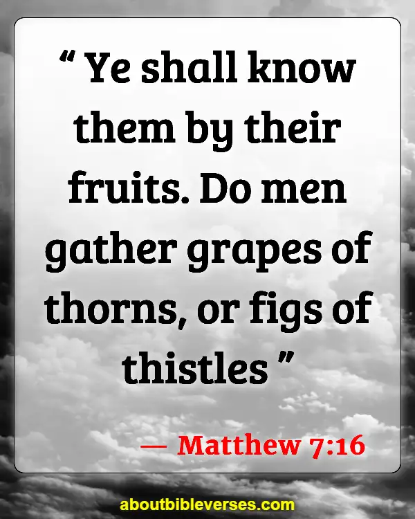 Bible Verses About Bearing Fruit (Matthew 7:16)