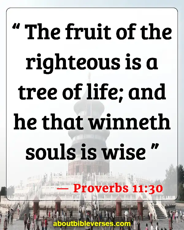 Bible Verses About Bearing Fruit (Proverbs 11:30)
