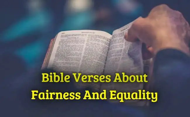 Bible Verses About Fairness And Equality
