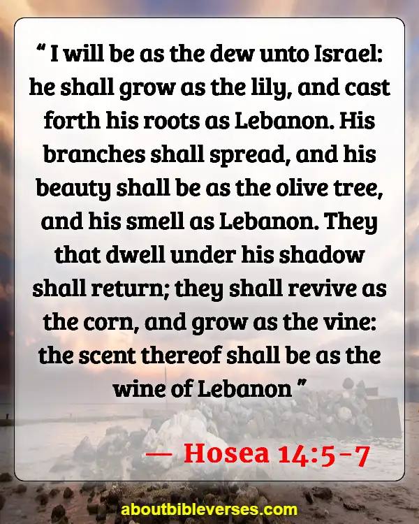 Bible Verses About Flowers Blooming (Hosea 14:5-7)