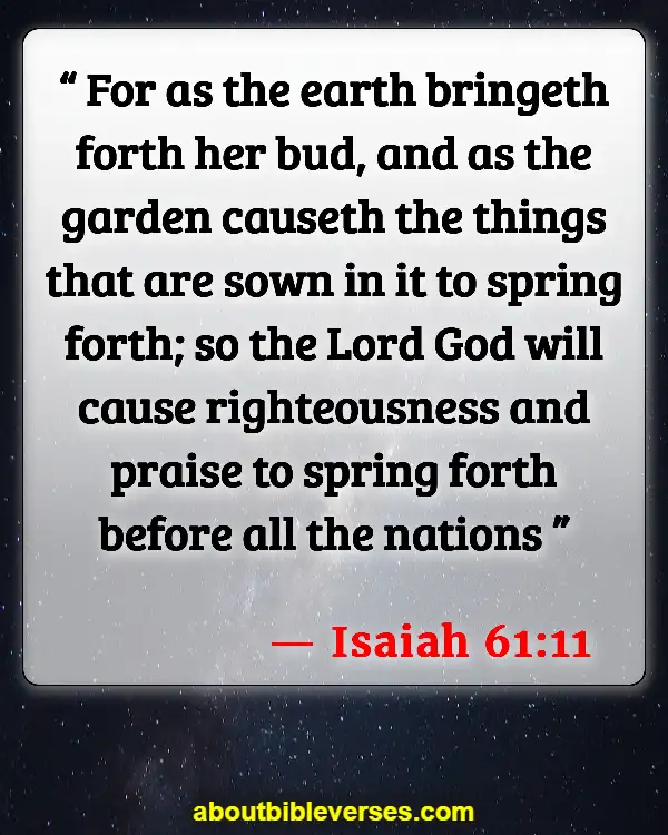 Bible Verses About Flowers Blooming (Isaiah 61:11)