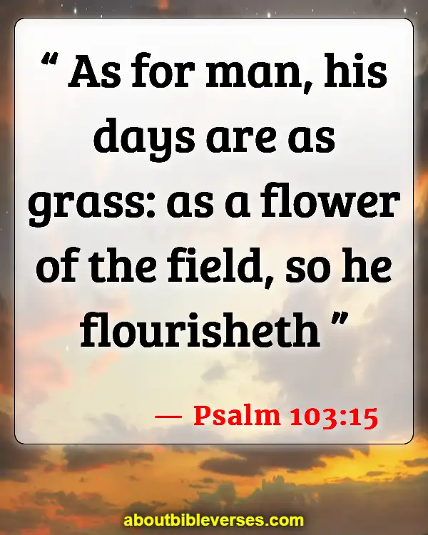 Bible Verses About Flowers Blooming (Psalm 103:15)